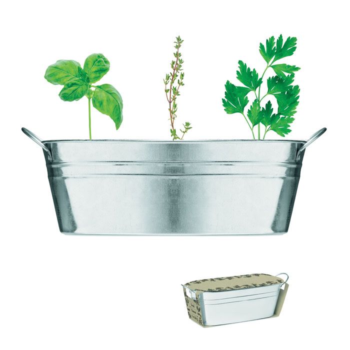 MIX SEEDS. Cutie din zinc cu semințe de 3 plante aromatice