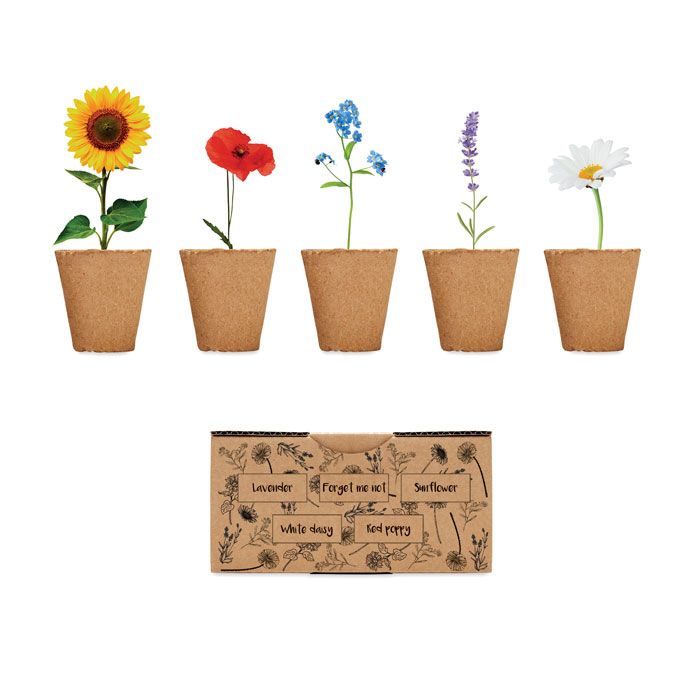 FLOWERS. Set pentru cultivarea florilor
