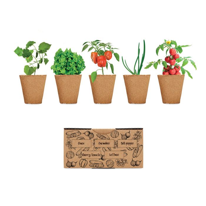 SALAD. Set pentru cultivarea salatei