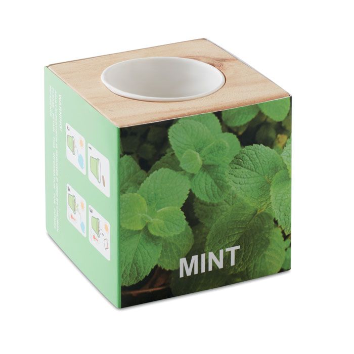 MENTA. Ghiveci din lemn „MINT”