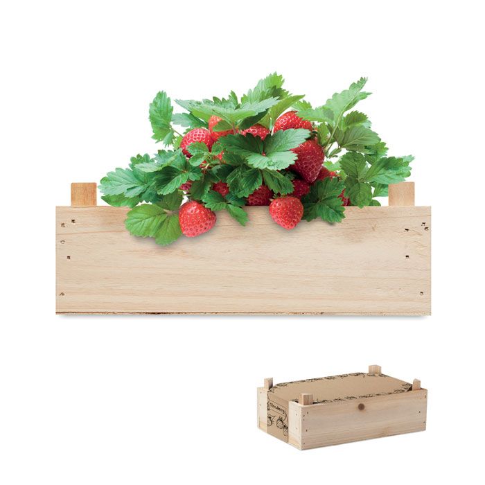 STRAWBERRY. Set de căpșuni în lădiță de lemn