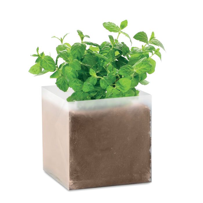 MINT. Compost cu semințe „MINT”
