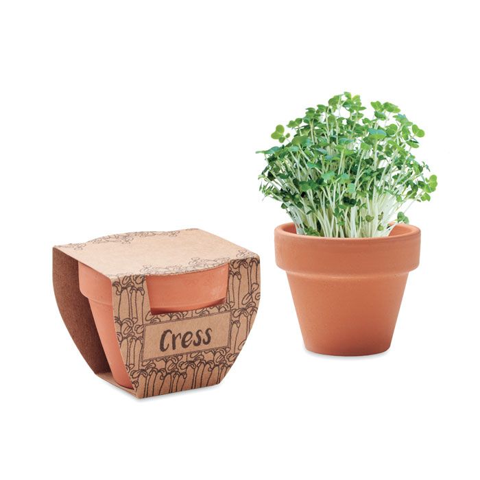 CRESS POT. Ghiveci din teracotă pentru semințe de cress
