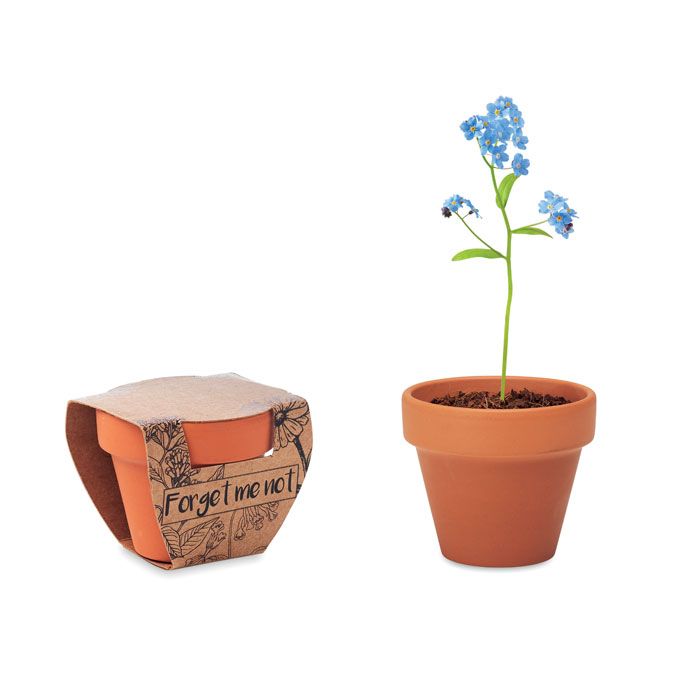 FORGET ME NOT. Ghiveci din teracotă „forget me not”