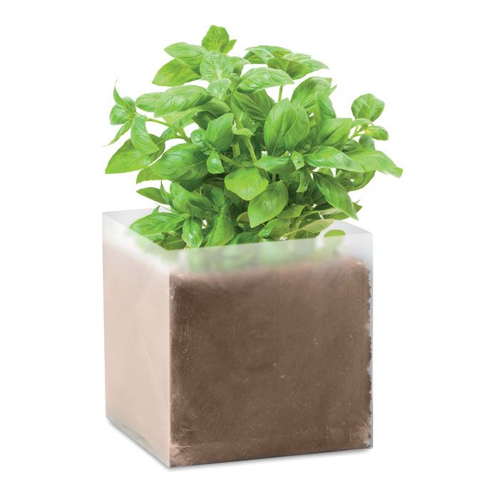 BASIL. Compost cu semințe „BASIL”