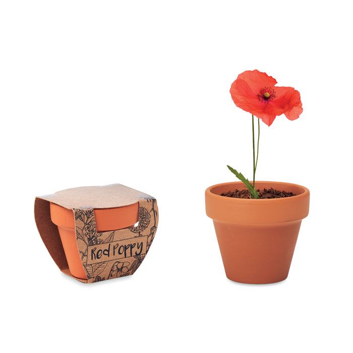 RED POPPY. Ghiveci din teracotă „poppy”