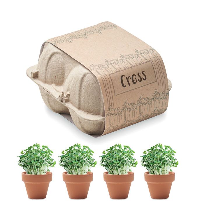 CRESS. Set de cultivare în cutie de ouă