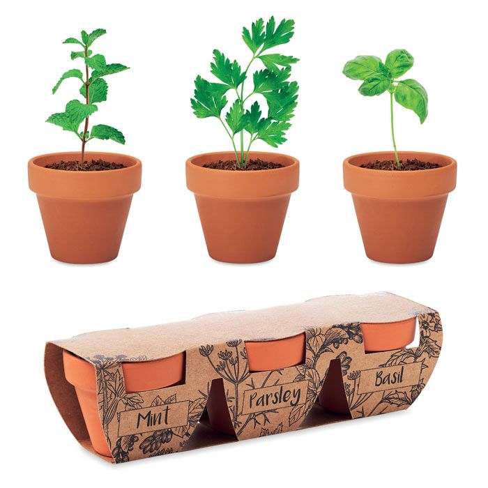 FLOWERPOT. Set de 3 ghivece din teracotă pentru plante aromatice