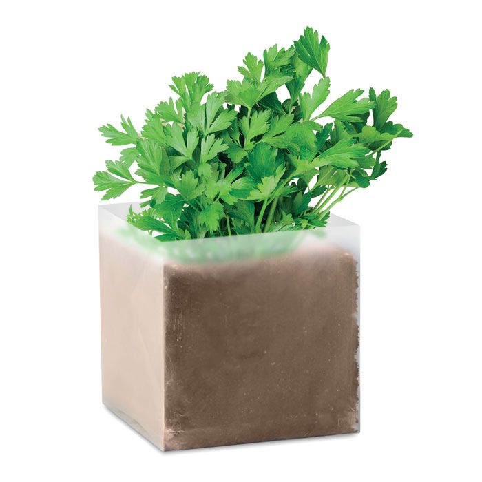 PARSELY. Compost cu semințe „PARSLEY”
